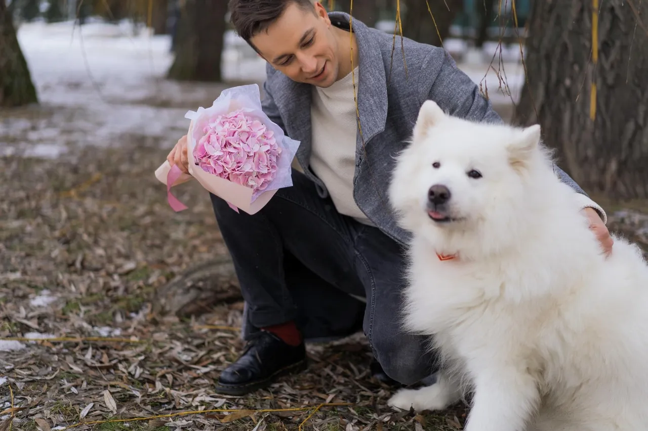 8 idées de demandes en mariages originales