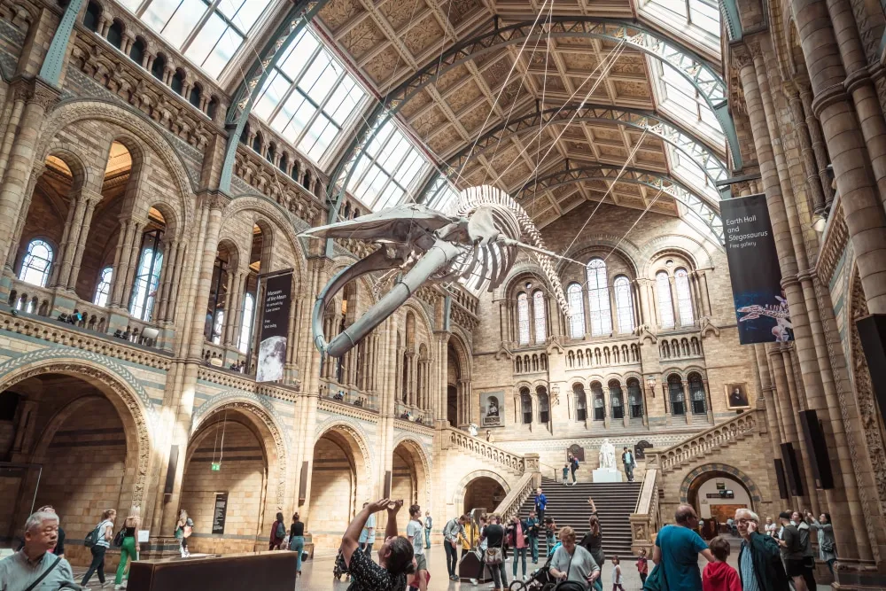 6 musées à voir absolument avant de mourir