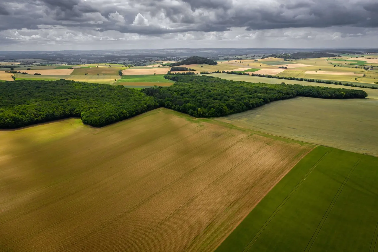 La météo agricole : un élément clé pour le succès des cultures