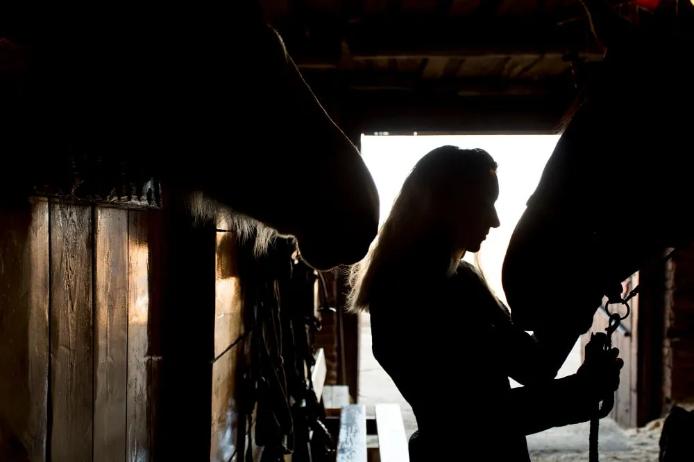 La meilleure plateforme pour trouver des chevaux à vendre